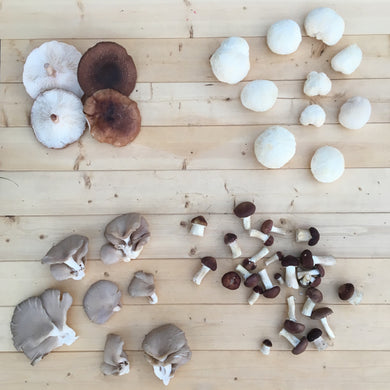 J & M Mushrooms